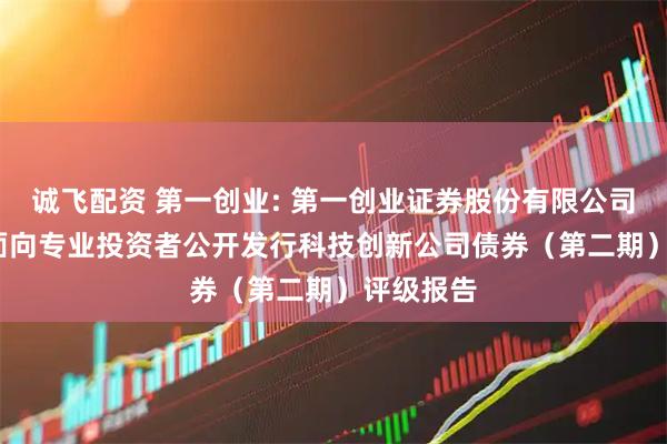 诚飞配资 第一创业: 第一创业证券股份有限公司2025年面向专业投资者公开发行科技创新公司债券（第二期）评级报告